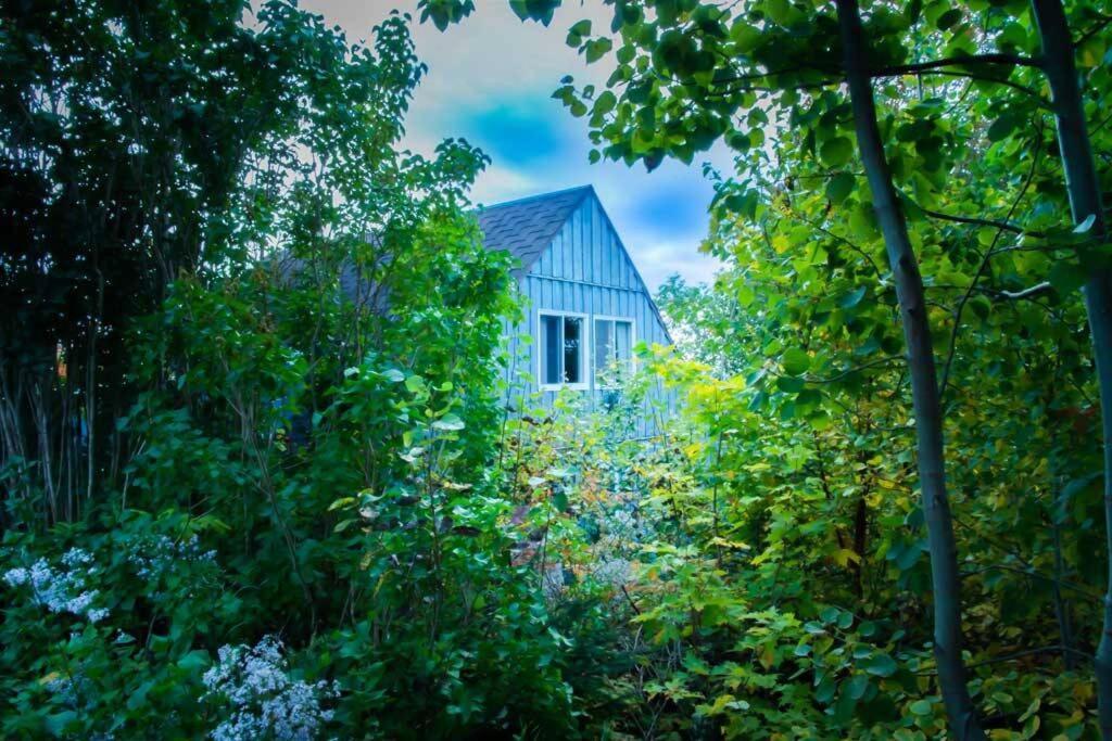 Chalet Mont Sainte-Anne بيوبره المظهر الخارجي الصورة